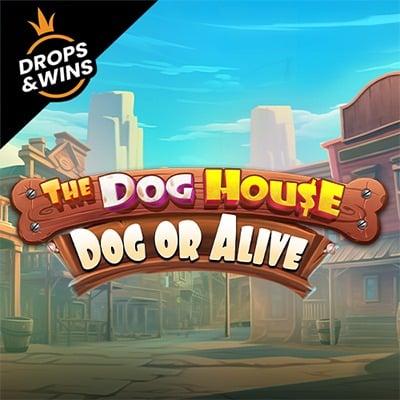 The Dog House – Dog or Alive thumbnail